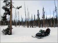 Forest clearing at snowpack-sampling site near Lewis Lake Divide, Wyo.