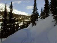 Snowmobile trail into Noisy Basin, Mont.