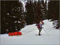 Worker hauls snowpack samples away from site near Red Mountain Pass, Colo.