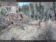 Click to view live video from Williams Canyon
