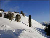 Hillslope below snowpack-sampling site at Galena Summit, Idaho