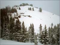 Snowpack-sampling site at Galena Summit, Idaho, is at left in wooded area.